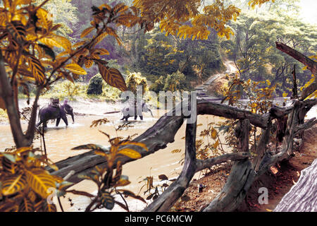 Monter sur un éléphant dans la forêt à Chiang Mai. La Thaïlande.Exotic Asian travel.Elephant trekking à travers jungle en Thaïlande Banque D'Images