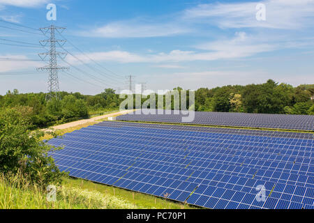 Grand terrain avec capteurs solaires dans les Pays-Bas Banque D'Images