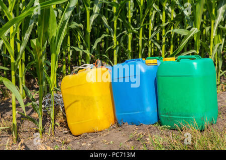 Pesticides dans les bidons colorés au champ de maïs avec des plantes Banque D'Images