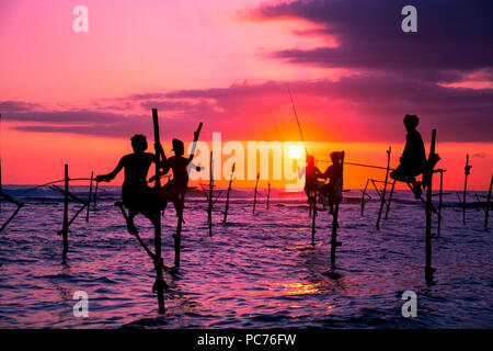 Les pêcheurs traditionnels au coucher du soleil au Sri Lanka Banque D'Images