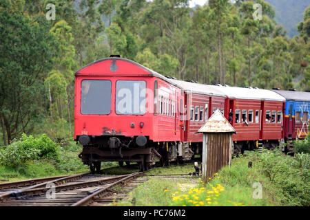 Scenic train au Sri Lanka Banque D'Images