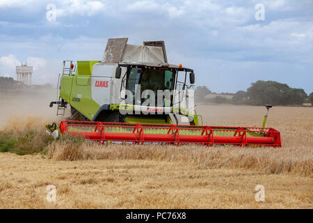 Rendmt Lexion Claas moissonneuse-batteuse TerraTrac TT la récolte d'orge à Norfolk, au Royaume-Uni. Banque D'Images
