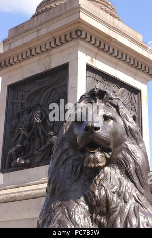 Base de Nelsons Column Trafalgar Square London Banque D'Images