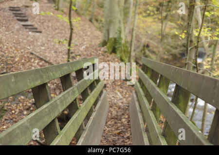 Vue de la passerelle en bois à Eller Beck avec les feuilles tombées, Skipton Skipton, Woods, North Yorkshire, Angleterre, Novembre Banque D'Images