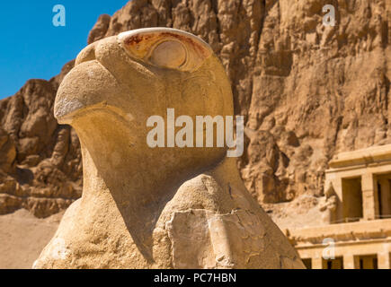 Close up of stone symbole égyptien sculpté statue d'Horus comme un pèlerin, temple funéraire d'Hatshepsout, Vallée des Rois, Louxor, Egypte, Afrique du Sud Banque D'Images