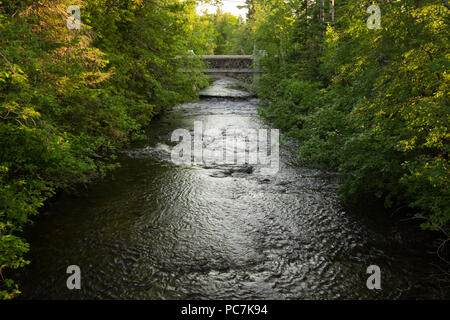 Forest River Nature Background. Une rivière coule à travers le bois du nord du Michigan. Fort Wilkins State Park, Michigan, Copper Harbor Banque D'Images