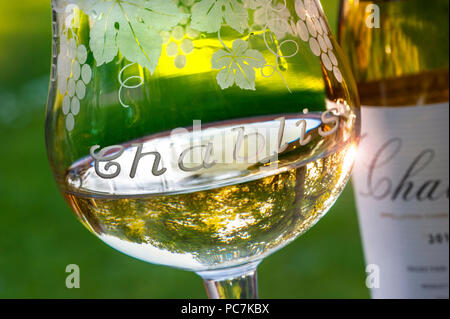 Bourgogne blanc Chablis Alfresco winery wine tasting glass avec bouteille sur la terrasse au coucher du soleil Chablis France Banque D'Images