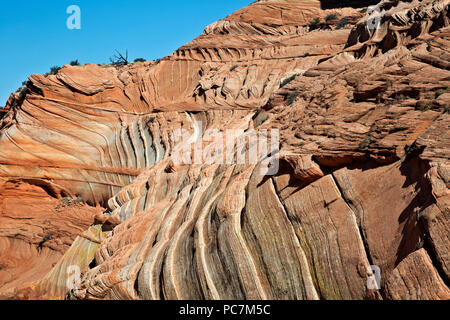 AZ00202-00...L'ARIZONA - Les couches colorées des formations de grès et beneigth un mur surmonté de buttes dans la section sud du Coyote Buttes, par Banque D'Images