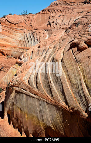 AZ0020300...ARIZONA - l'couches colorées des formations de grès et beneigth un mur surmonté de buttes dans la section sud du Coyote Buttes, partie Banque D'Images