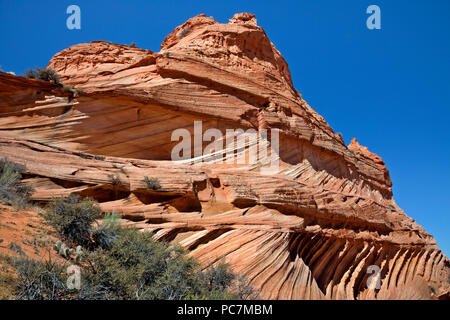 AZ00204-00...L'ARIZONA - Les couches colorées des formations de grès et beneigth un mur surmonté de buttes dans la section sud du Coyote Buttes, par Banque D'Images