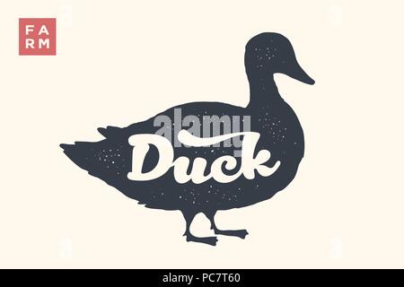 Le canard. Lettrage, typographie Illustration de Vecteur