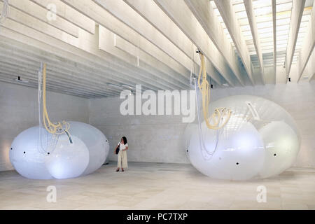 Biennale d'architecture de Venise, 2018. Pavillons et fonctionne dans les principaux lieux d'exposition - Arsenale et Giardini Banque D'Images