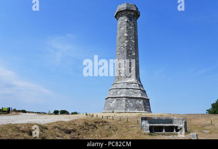 Le Monument à Hardy, dédié à Vice-amiral sir Thomas Hardy, propriété du National Trust, Dorset, UK - John Gollop Banque D'Images