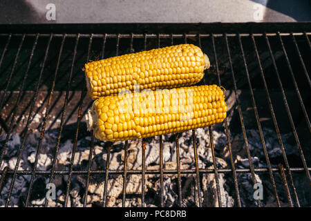 Épis de maïs pour l'extérieur barbecue grillé Banque D'Images