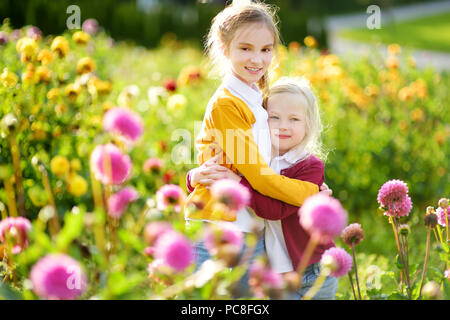 Deux sœurs mignon jouant dans blossoming dahlia domaine. Les enfants ramasser des fleurs fraîches dans le dahlia pré sur journée ensoleillée. Le choix des fleurs pour les enfants e Banque D'Images