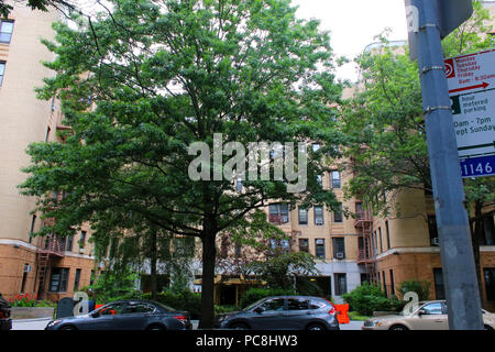 NEW YORK, NY - 10 juillet : Art-déco bâtiment résidentiel d'avant-guerre à 20 Plaza Rue est à Prospect Heights, Brooklyn le 10 juin 2017 à New York, USA Banque D'Images