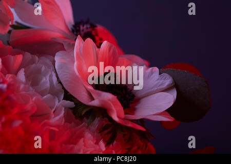 Bouquet de fleurs en rouge clair sur sombre Banque D'Images