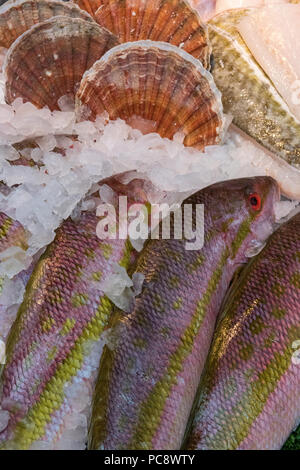 Rougets à la vente à un décrochage du poisson frais des poissonniers sur Borough Market à Londres Banque D'Images