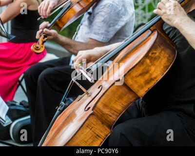 Close up street musician playing instrument Violon Musique de jazz Banque D'Images