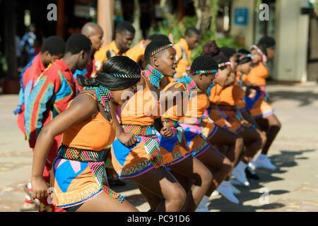 Les jeunes hommes et femmes en zoulou culturel coloré robe danser et chanter à la performance en plein air, Durban, Afrique du Sud Banque D'Images