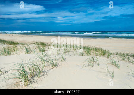 Célèbre soixante cinq Mile Beach sur l'île Fraser. Banque D'Images