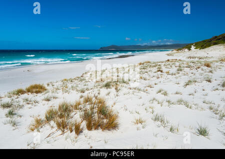 Belle plage paysage à Friendly plages dans le parc national de Freycinet. Banque D'Images