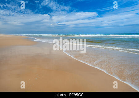 Teewah Beach à Noosa dans le Queensland. Banque D'Images