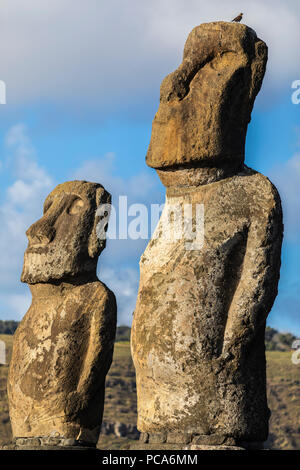 Ahu Tongariki, la plus incroyable Ahu plate-forme sur l'île de Pâques. 15 moais encore au sud-est de l'île. Ahu Tongariki révèle des Moai Banque D'Images