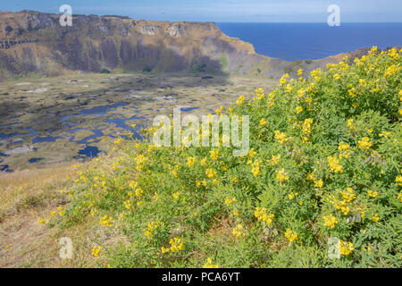 Magnifique vue sur le volcan Rano Kau, peut-être le plus impressionnant paysage à l'intérieur de l'île de Pâques. Banque D'Images