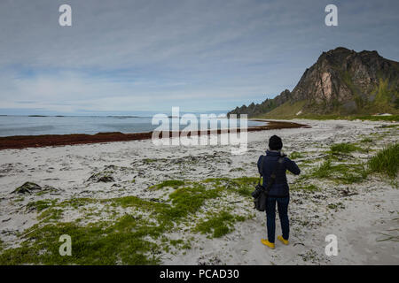 Seule femme sur la plage de Bleik, Vesteralen, la Norvège. Banque D'Images