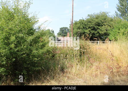 Maison de campagne retirée dans les régions rurales de l'Essex Banque D'Images