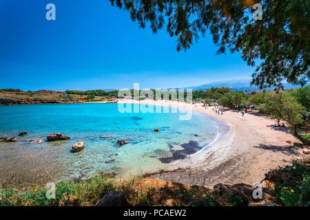Beach Canteen iguane, Crète, îles grecques, Grèce, Europe Banque D'Images