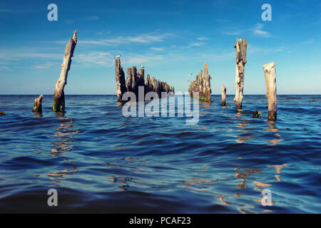 Vol de mouettes au-dessus des piles de pier abandonnés en mer Baltique avec des vagues à l'horizon Banque D'Images