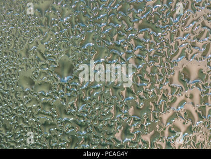 Une macro shot de condensation à l'intérieur d'une serre fenêtre. Banque D'Images
