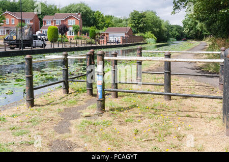 Le canal de Birmingham dans Tipton, Dudley qui s'étend entre Birmingham et Wolverhampton de nénuphars poussant dans l'eau non polluée Banque D'Images