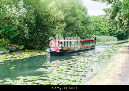 Le canal de Birmingham dans Tipton, Dudley qui s'étend entre Birmingham et Wolverhampton de nénuphars poussant dans l'eau non polluée Banque D'Images