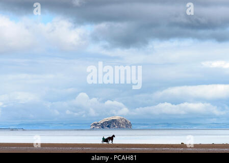 19-07-15 Belhaven Bay, Dunbar, East Lothian, Scotland, UK. Cheval et au trot sulky sur Belhaven beach. Photo : © Simon Grosset Banque D'Images