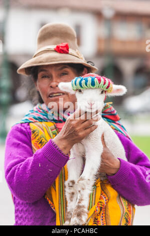 21 avril 2014 - Cusco, Pérou. Groupe de femmes indigènes qui posent avec les jeunes lamas. Portant des vêtements traditionnels colorés, des textiles et des chapeaux. Banque D'Images