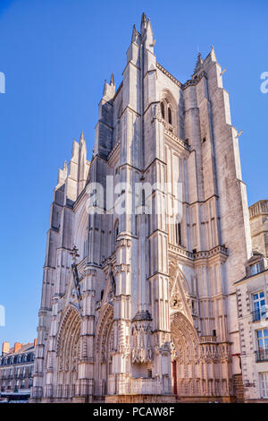 Cathédrale de Saint Pierre et Saint Paul, Nantes, Loire Atlantique, France. Banque D'Images