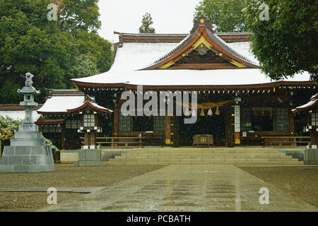 Chutes de neige sur Izumi culte, Kumamoto Prefecture, Japan Banque D'Images