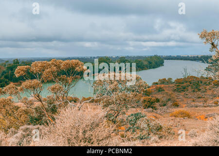 Belle Rivière Murray à Riverland, Australie du Sud Banque D'Images