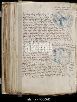 62 manuscrit de Voynich (154) Banque D'Images