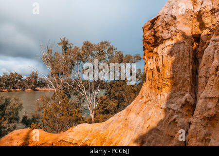 Falaises de grès érodé et la gomme des arbres sur les rives du fleuve Murray. Riverland, Australie du Sud Banque D'Images