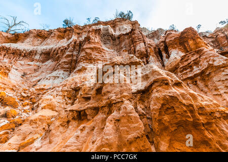 Falaises de grès majestueux au-dessus de la rivière Murray en Australie du Sud, Riverland Banque D'Images