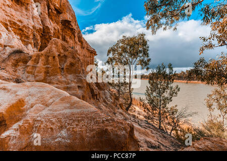 L'érosion des falaises de grès et de la gomme des arbres sur les rives du célèbre fleuve Murray en Australie du Sud Banque D'Images