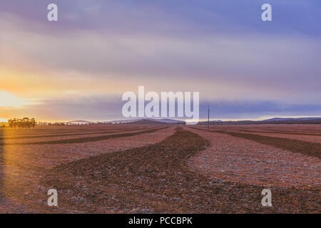 Lever de soleil sur champ labouré en Australie du Sud Banque D'Images