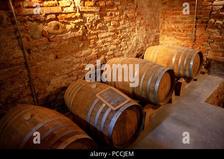 Fattoria Toscane vin vineux Meix-devant-Virton dans l'antique caves historiques de la Fattoria Meix-devant-Virton dans Vinci Toscane Italie Banque D'Images