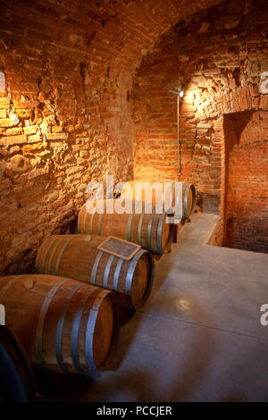 Fattoria Toscane vin vineux Meix-devant-Virton dans l'antique caves historiques de la Fattoria Meix-devant-Virton dans Vinci Toscane Italie Banque D'Images