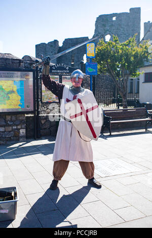 Homme habillé en costume de chevalier à l'épée et le bouclier d'hôtesse touristes au Trim Castle dans le comté de Meath, Irlande Banque D'Images