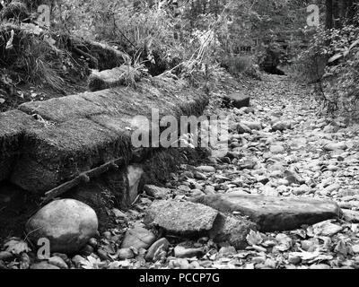 Moulin à l'abandon par la rivière Derwent, Cockermouth, Cumbria, Royaume-Uni Banque D'Images